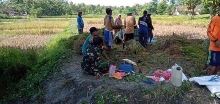 Warga Minta Anggota Satgas TMMD 110 Bojonegoro Makan Bareng Di Sawah